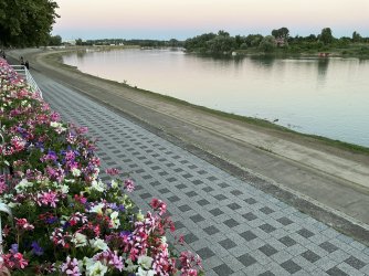 IMG_2087.jpeg
