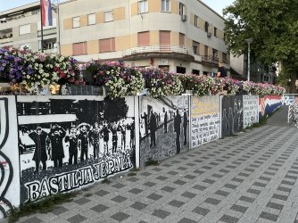 IMG_2090.jpeg