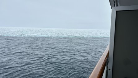 IMG_4527.JPEG