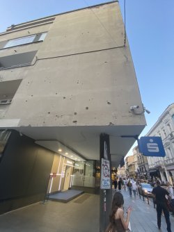 IMG_8613.jpeg