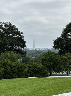 IMG_4003.jpeg