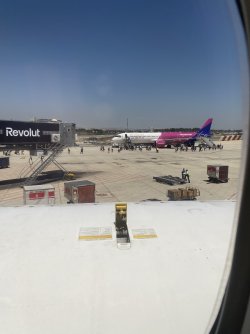 IMG_4616.jpeg
