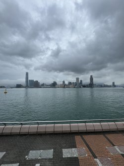 IMG_8007.JPEG