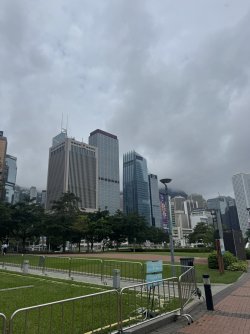 IMG_8010.JPEG