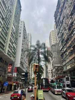 IMG_8022.JPEG
