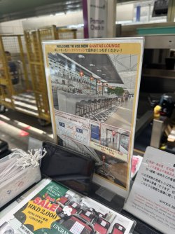 IMG_8032.JPEG
