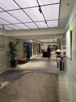 IMG_8033.JPEG