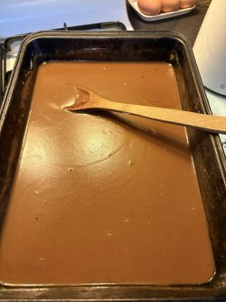 IMG_2928.jpeg