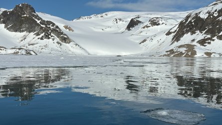 IMG_4664.JPG