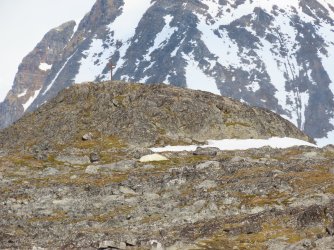 IMG_9478.JPG