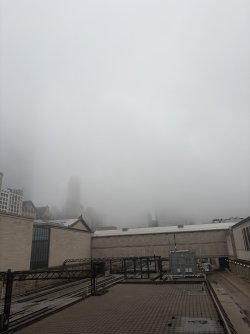 58B4E19D-B76E-4156-85F7-F7888ED918D0_1_102_o.jpeg