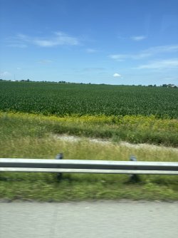 E21F5B63-EDA4-44B1-B539-0A5E5120B018_1_102_o.jpeg