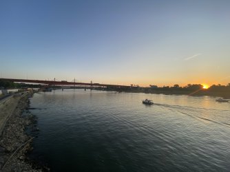 IMG_8647.jpeg