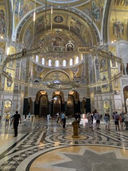 IMG_8677.jpeg