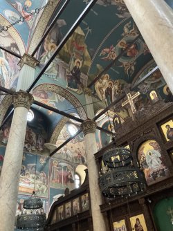 IMG_2119.jpeg