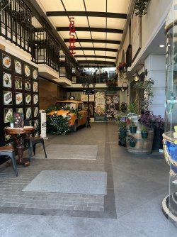IMG_2143.jpeg