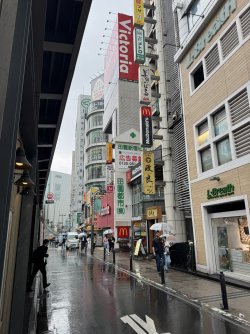 IMG_8128.JPEG
