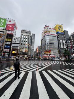 IMG_8134.JPEG