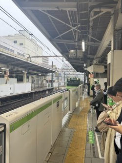 IMG_8158.JPEG
