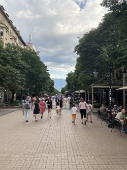 IMG_2462.jpeg