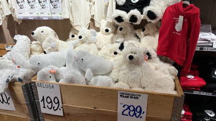 IMG_4935.JPEG