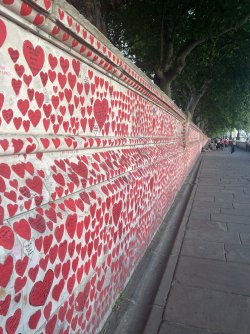 IMG_6812.jpeg