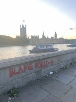 IMG_6818.jpeg