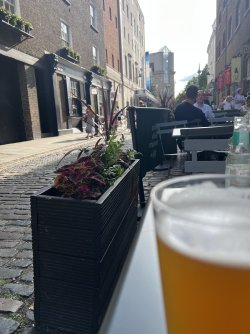 IMG_6945.jpeg