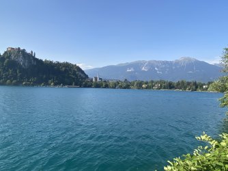 IMG_8847.jpeg