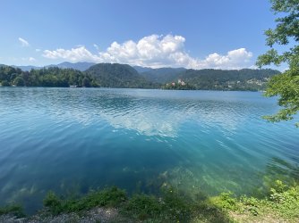 IMG_8724.jpeg