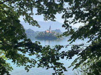 IMG_8804.jpeg
