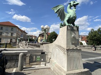 IMG_8895.jpeg