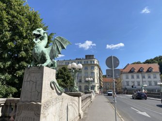 IMG_8891.jpeg