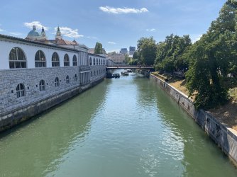 IMG_8892.jpeg