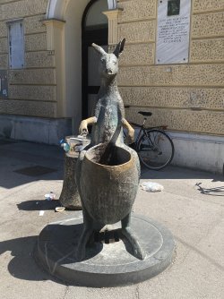 IMG_9075.jpeg