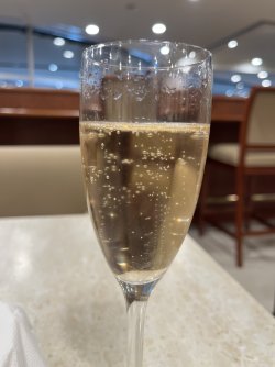 IMG_8167.jpeg