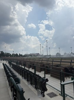 8D3F07F5-7408-42DA-A754-D6109129704B_1_105_c.jpeg