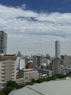 IMG_8175.JPEG