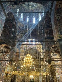 IMG_2500.jpeg
