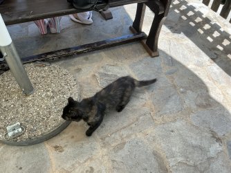 IMG_2522.jpeg