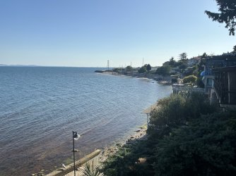 IMG_2617.jpeg
