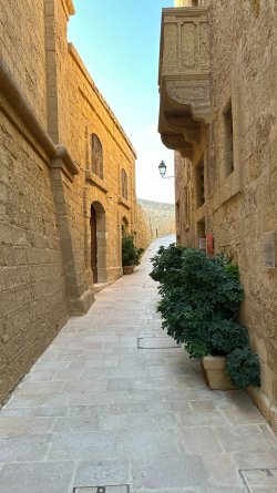 IMG_5119.JPEG
