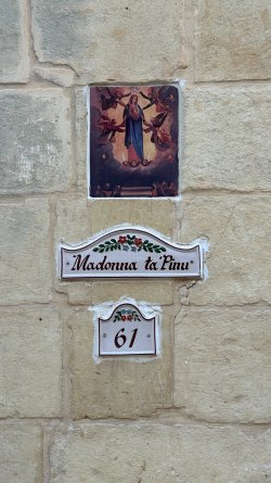 IMG_5138.JPEG