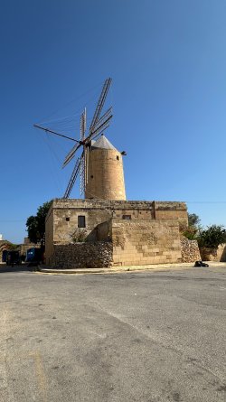 IMG_5166.JPEG
