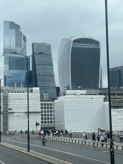 IMG_6961.jpeg