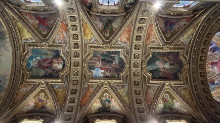 IMG_5209.JPEG