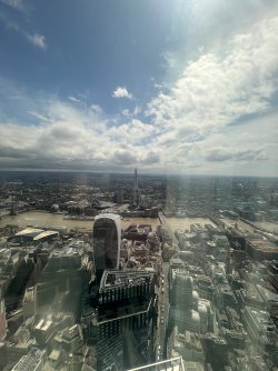 IMG_7038.jpeg IMG_7038.jpeg