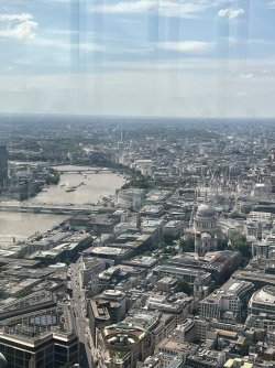 IMG_7035.jpeg IMG_7035.jpeg