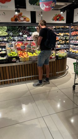IMG_5283.JPEG