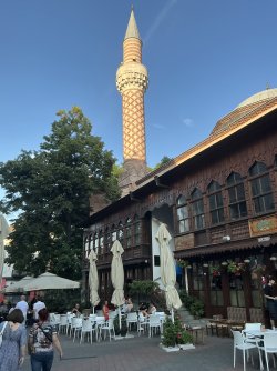 IMG_2539.jpeg